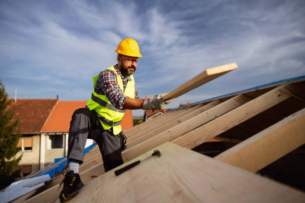 Best Roof Maintenance and Cleaning  in Prospect, PA